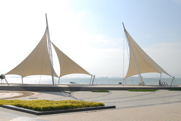 保护环境的小知识