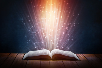 保护环境的小知识