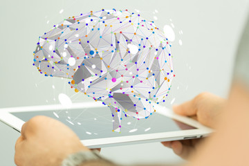 保护环境的小知识