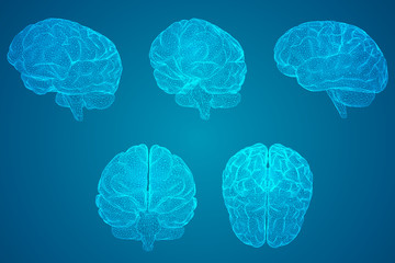 中国节气的有关知识