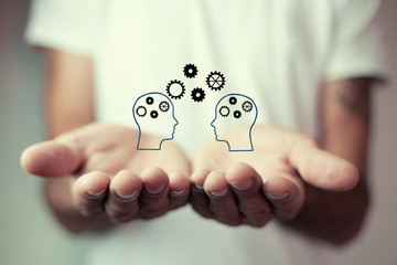 房车法美瑞最新消息