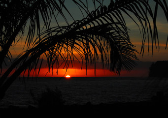 如何理解现代化旅游是市场经济高度发展的产物