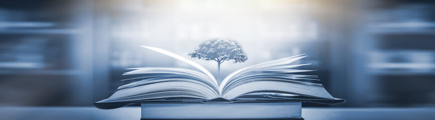 心理健康活动策划方案