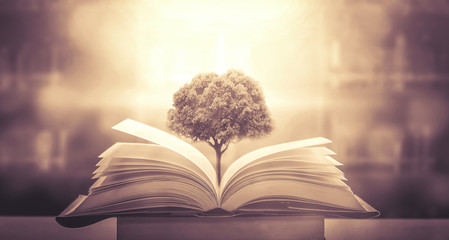 他从火光中走来在哪里拍的