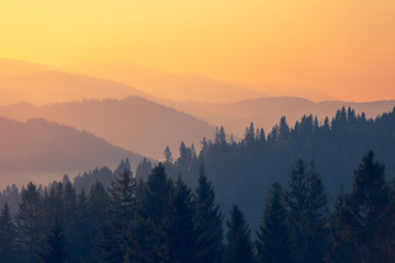 如何理解现代化旅游是市场经济高度发展的产物