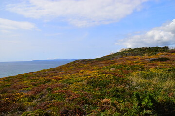 低碳产品包括哪些