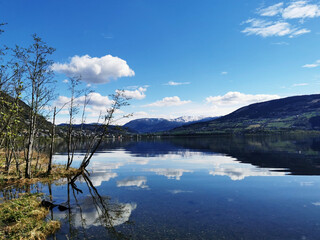 县司法局“七五”普法工作情况汇报