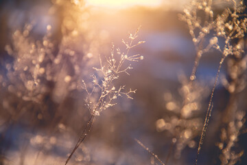 县司法局“七五”普法工作情况汇报