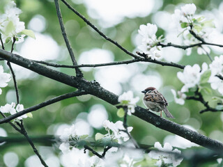 如何理解现代化旅游是市场经济高度发展的产物