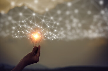 保护环境的小知识