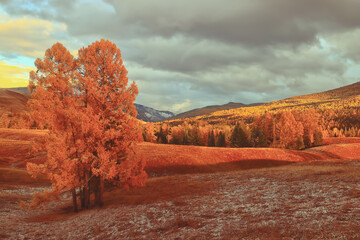 中国节气的有关知识