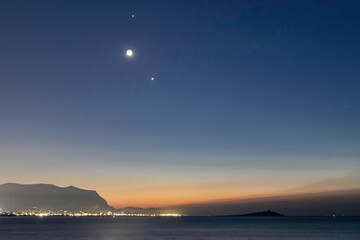 什么蛇最厉害？