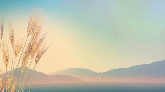 县司法局“七五”普法工作情况汇报