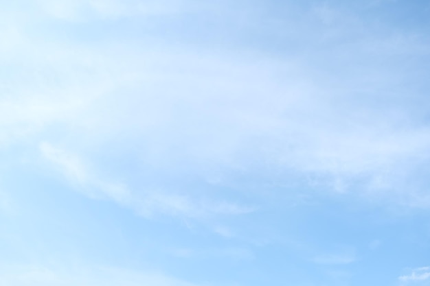 各种动物怎么说？